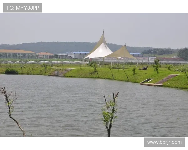 亚冠赛事直播在线观看指南轻松掌握最新赛事动态和精彩瞬间 - 副本